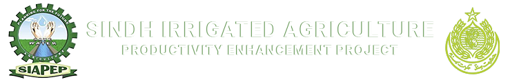 SIAPEP :: Sindh Irrigated Agriculture Productivity Enhancement Project
